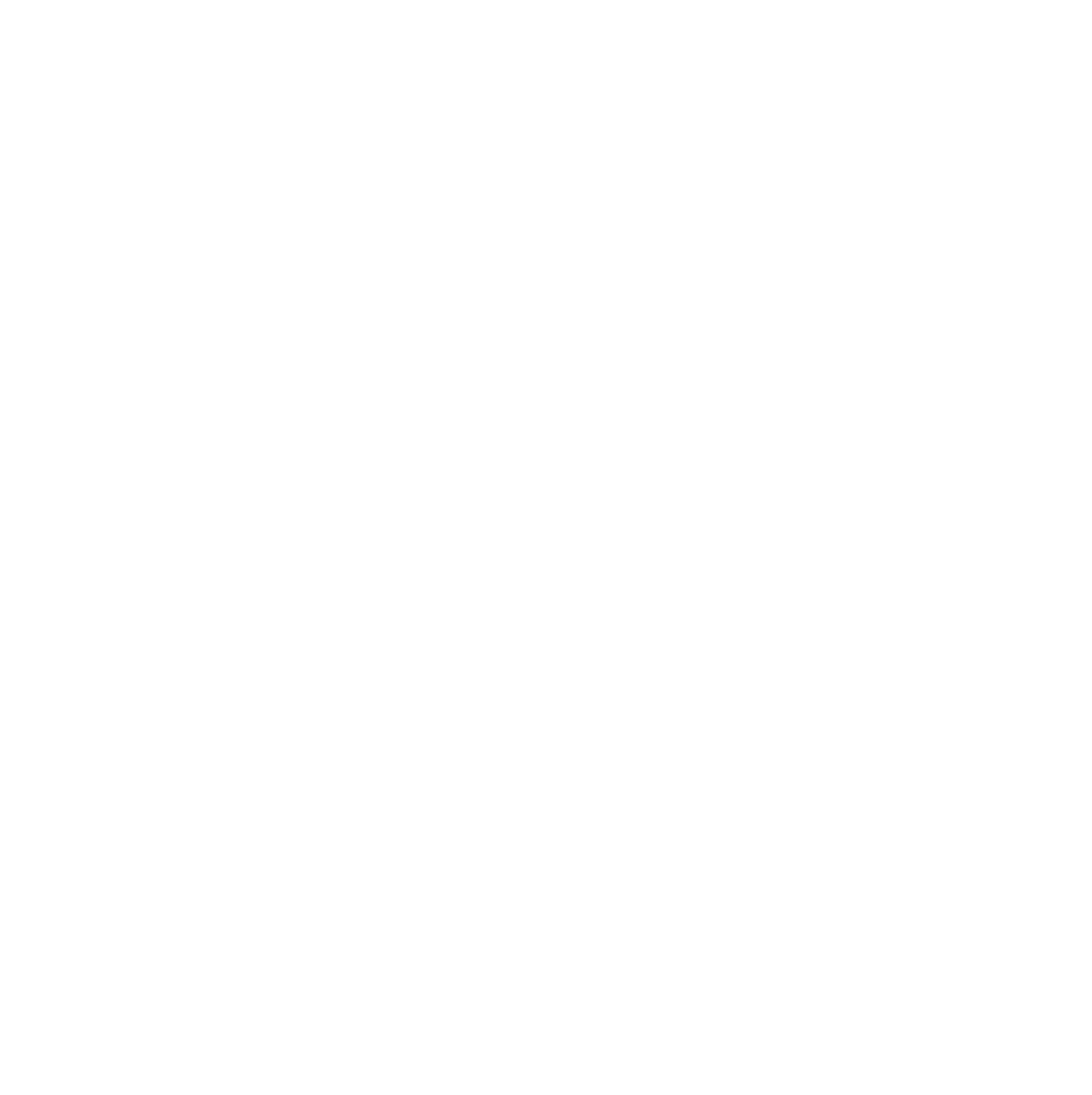 NZSL Direct — white logo design